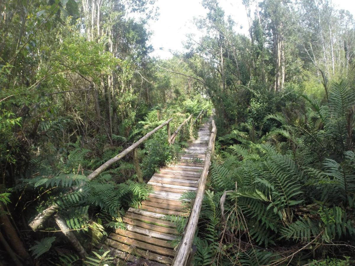 Turismo Del Bosque Lägenhet Castro Exteriör bild